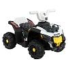 Электроквадроцикл Pituso  с пультом управления 6V/7Ah,20W*1 White/Белый — фото 9