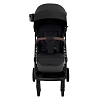 Прогулочная коляска Pituso Ice Black — фото 18