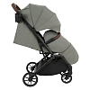 Прогулочная коляска Pituso Ice Grey Taupe — фото 16