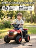 Электроквадроцикл Pituso 116-NEW 6V/4.5Ah,20W*1 Red/Красный — фото 1