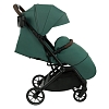 Прогулочная коляска Pituso Ice Emerald Mood — фото 15