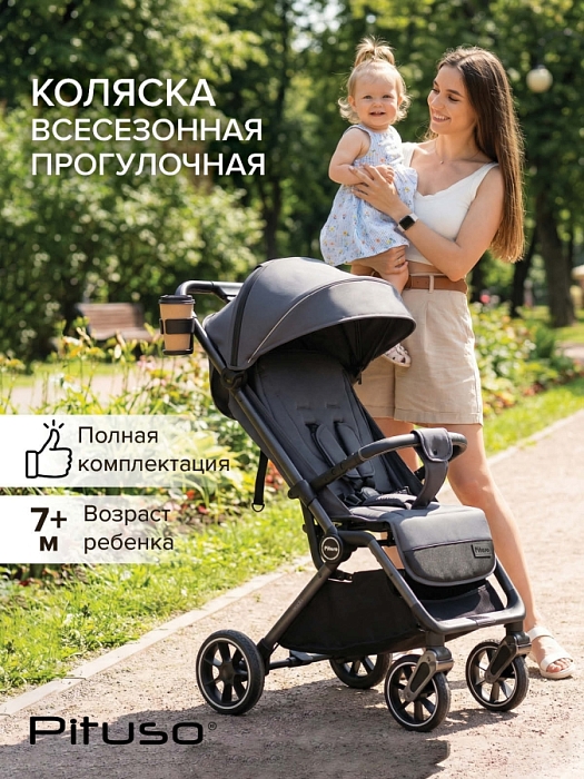 Прогулочная коляска Pituso Wicki Graphite/Графит — фото 1